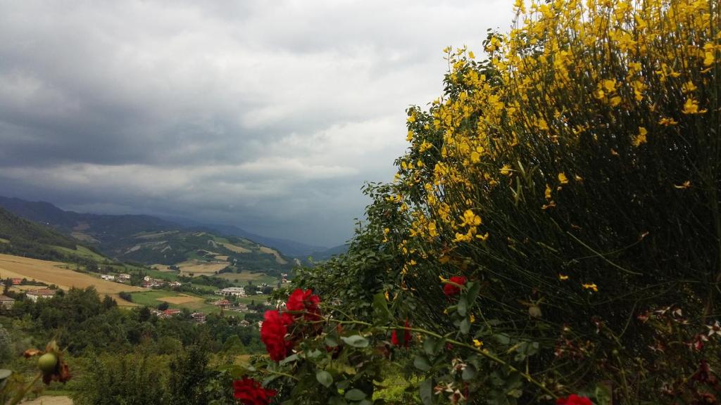 Nido D'Ape bed and breakfast