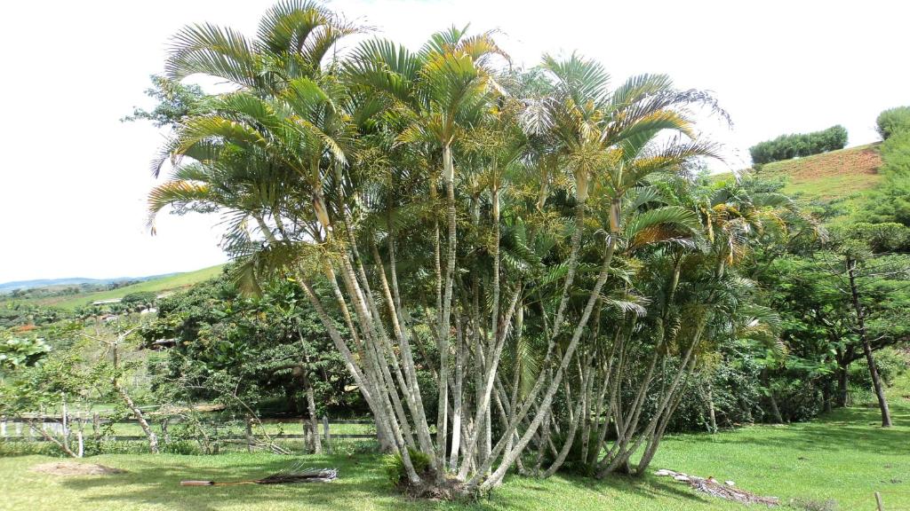  Sitio três porteiras