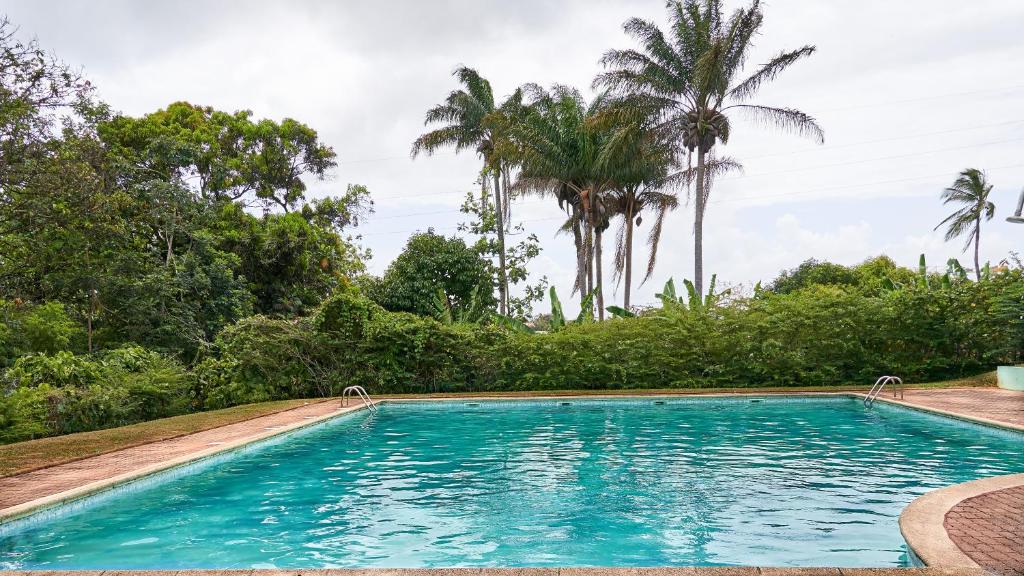 a swimming pool with palm trees in the background at Appartements Cayenne Standing in Cayenne