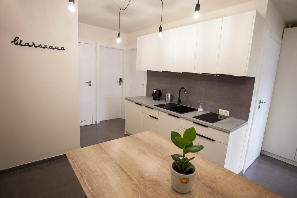 Kuchnia lub aneks kuchenny w obiekcie Chmielna - City Center Residence