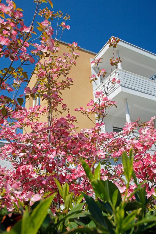 Zahrada ubytování Hotel Jardis