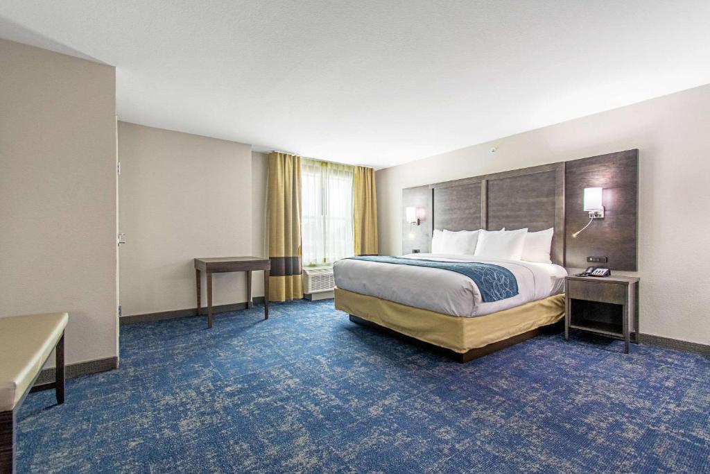 Comfort Suites Humble Houston IAH - Suite Lit King-Size Avec Canapé-Lit - Non-Fumeurs