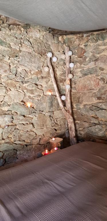 Cette chambre est dotée d'un mur en pierre avec une branche d'arbre. dans l'établissement U paliaghju, une cabane de berger pour vivre un dépaysement total, à Santa-Lucia-di-Mercurio