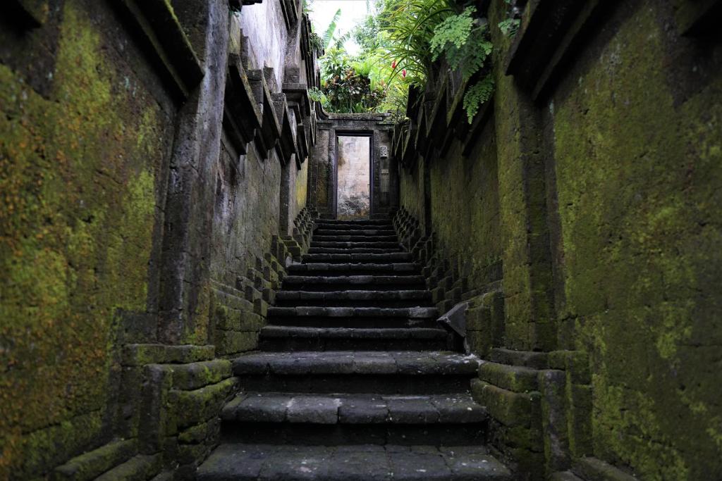 Fotografie z fotogalerie ubytování Ibah v Ubudu