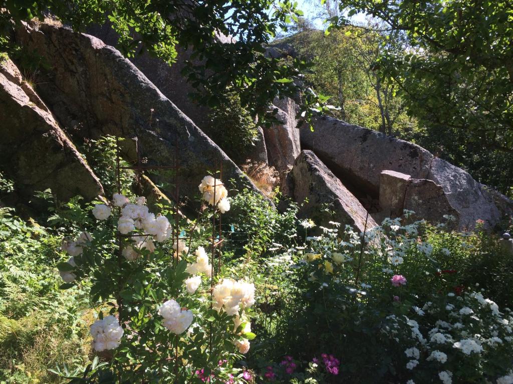 Stuga i naturskönt område på västra Tjörn - Casa De Una Habitación