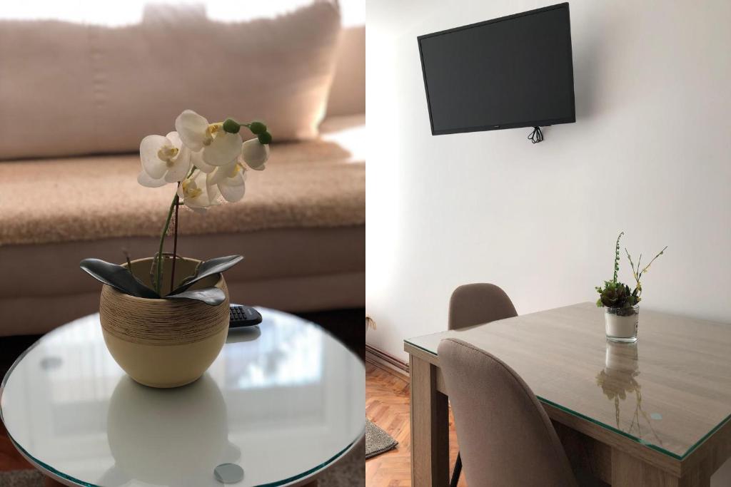 TV a/nebo společenská místnost v ubytování Apartments Ivan