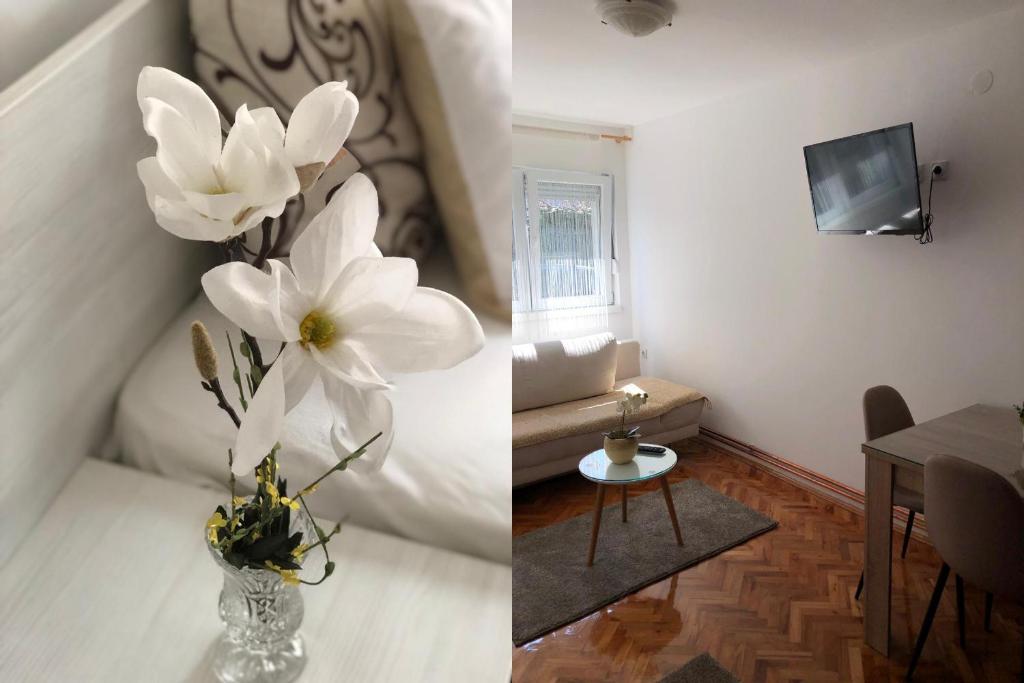 TV a/nebo společenská místnost v ubytování Apartments Ivan