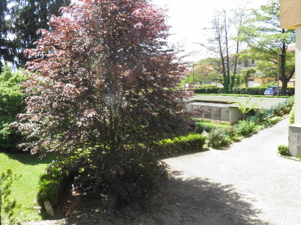 Zahrada ubytování Hotel Ramoverde