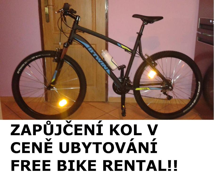 Jízda na kole v ubytování Apartmán Sofie se zahrádkou nebo okolí