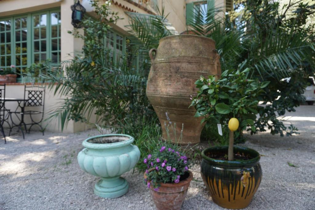 a group of vases and plants in front of a building at Hotel Le Ponteil in Antibes
