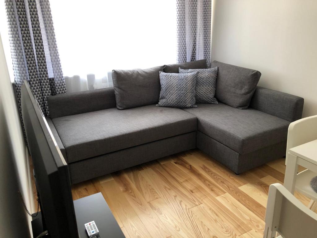 un sofá gris en una sala de estar con TV en CR Przytulny Apartament przy Pałacu Branickich, en Białystok