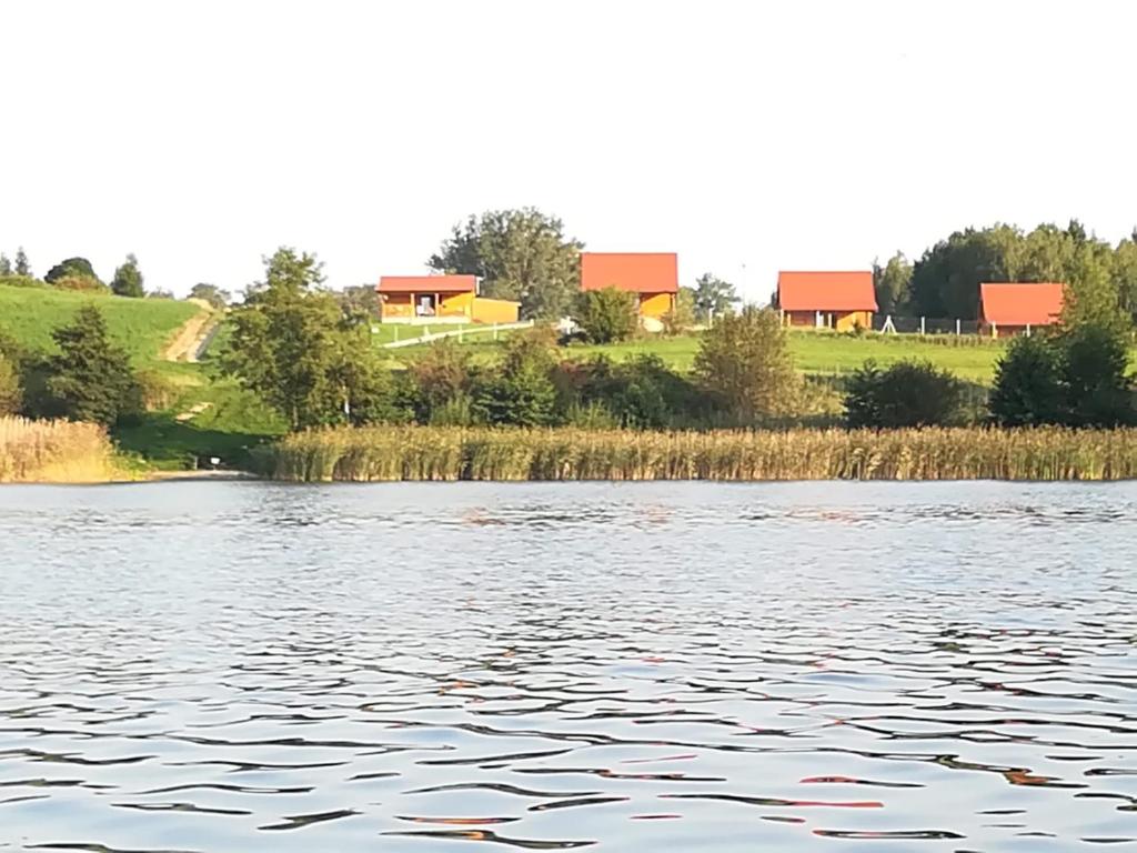 a view of a lake with houses in the background at Ostoja Rodzinna in Giżycko