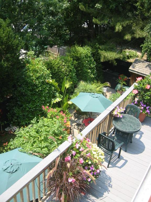 Giardino di Thomas Webster House