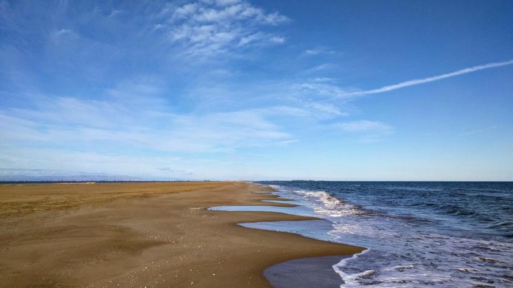 una playa con el océano y un cielo azul en Ca Na Vinyet en El Poblenou del Delta