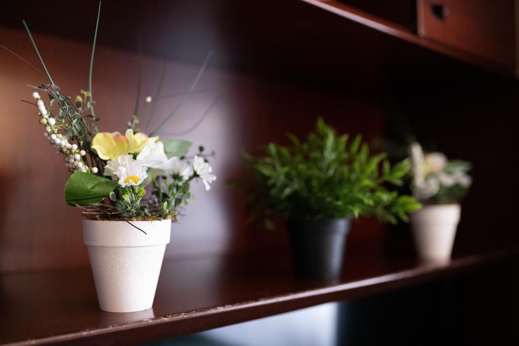 Hotel Königshof The Arthouse - Resim 22