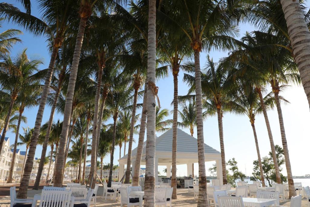 a group of palm trees and white chairs on a beach at Isla Bella Beach Resort & Spa - Florida Keys in Marathon