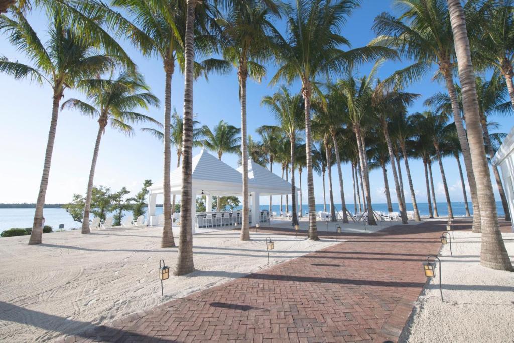 a row of palm trees on a sandy beach at Isla Bella Beach Resort & Spa - Florida Keys in Marathon