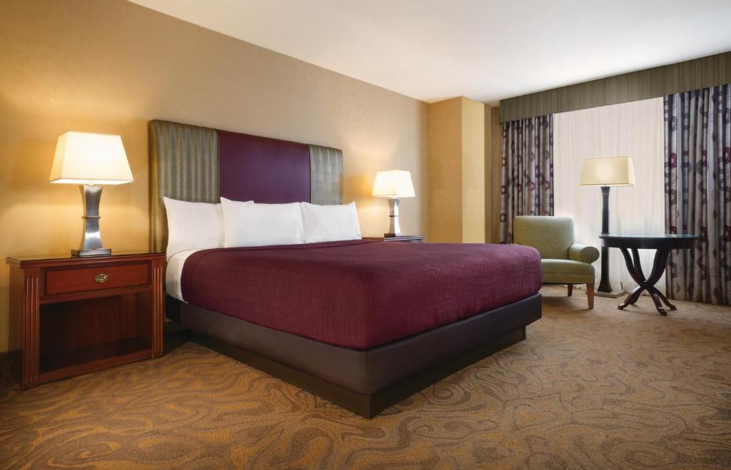 Circus Circus Hotel, Casino & Theme Park - Casino Tower King Room