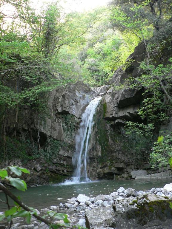 Príroda v okolí luxusného stanu