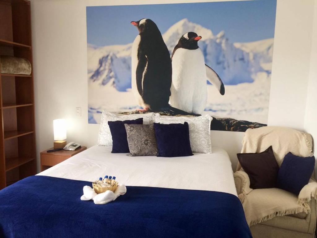  Pousada Dos Pinguins