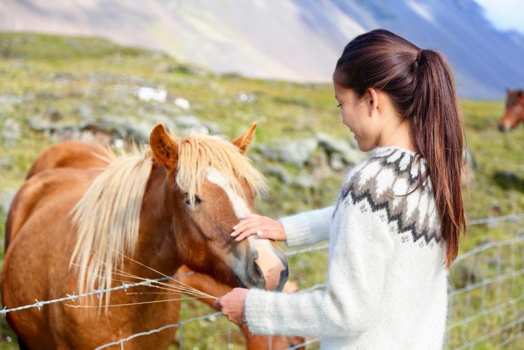 a woman petting a brown horse in a field at Experience Beautiful Iceland in Ólafsvík