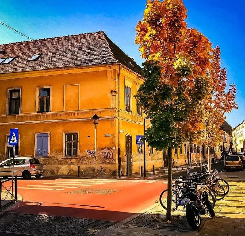 un árbol frente a un edificio amarillo en una calle en Strada Ion I. C. Brătianu Nr.24 en Cluj-Napoca