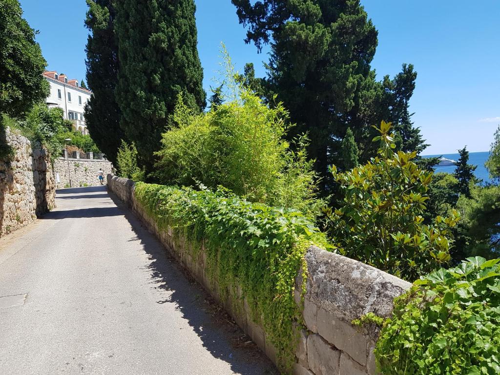 Príroda v okolí apartmánu