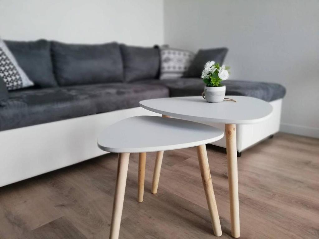 ein Wohnzimmer mit einem Sofa und 2 Tischen in der Unterkunft Appartement Cosy proche Météo France et Airbus in Toulouse