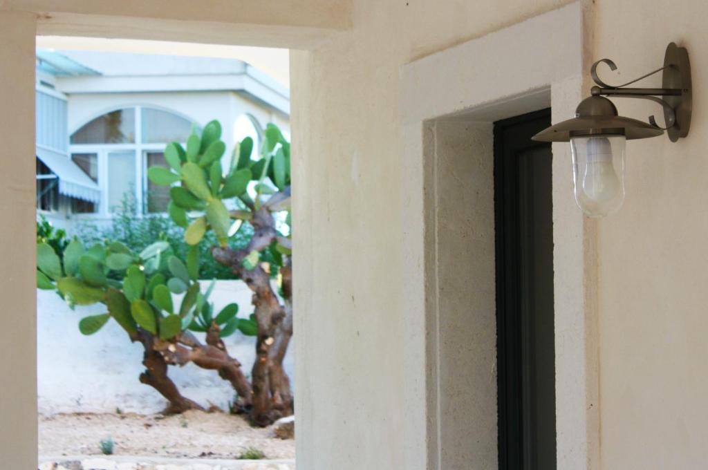 Fotografie z fotogalerie ubytování B&B Margherita v destinaci Ostuni