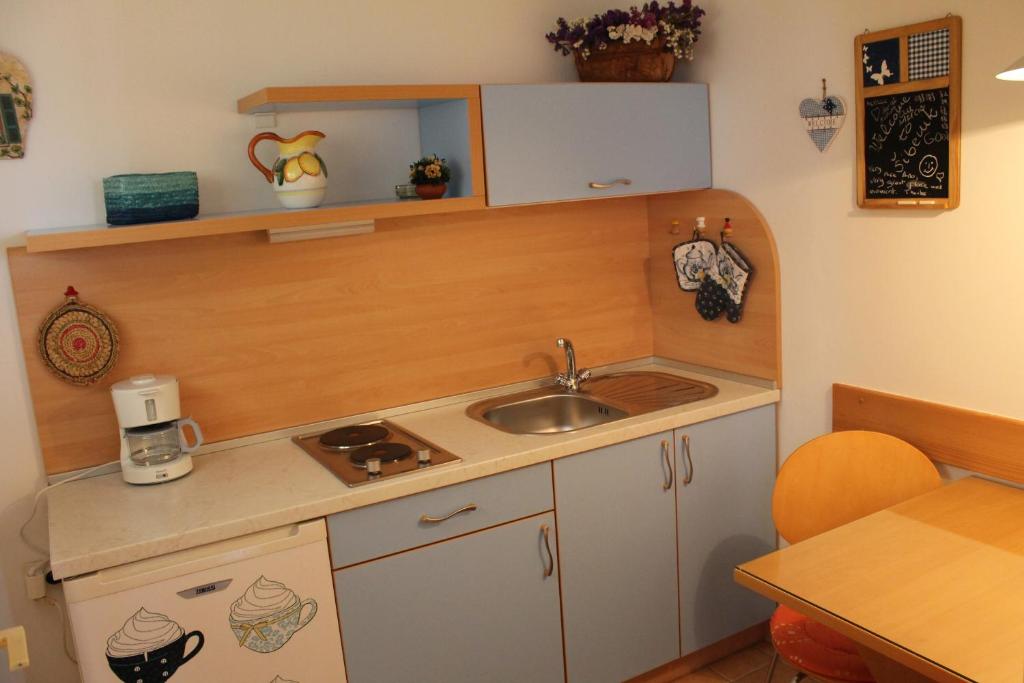 Kuchyňa alebo kuchynka v ubytovaní Apartments Ana+3