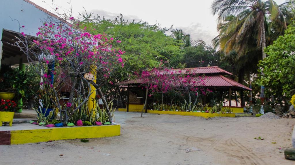 Taman di luar Playa Samara Hostel