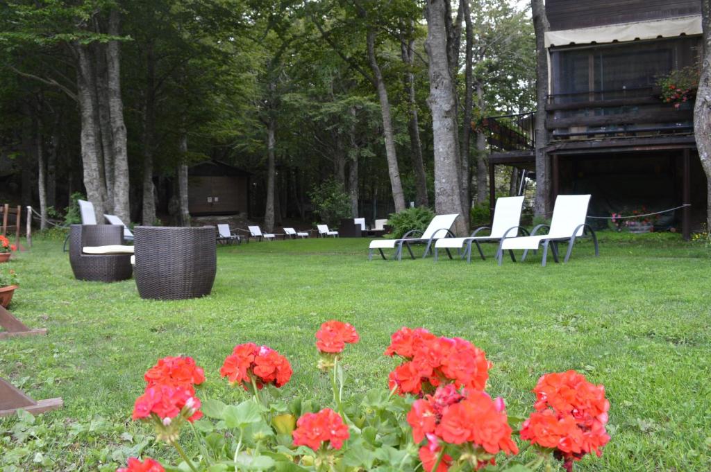 A garden outside Albergo Sella - Monte Amiata