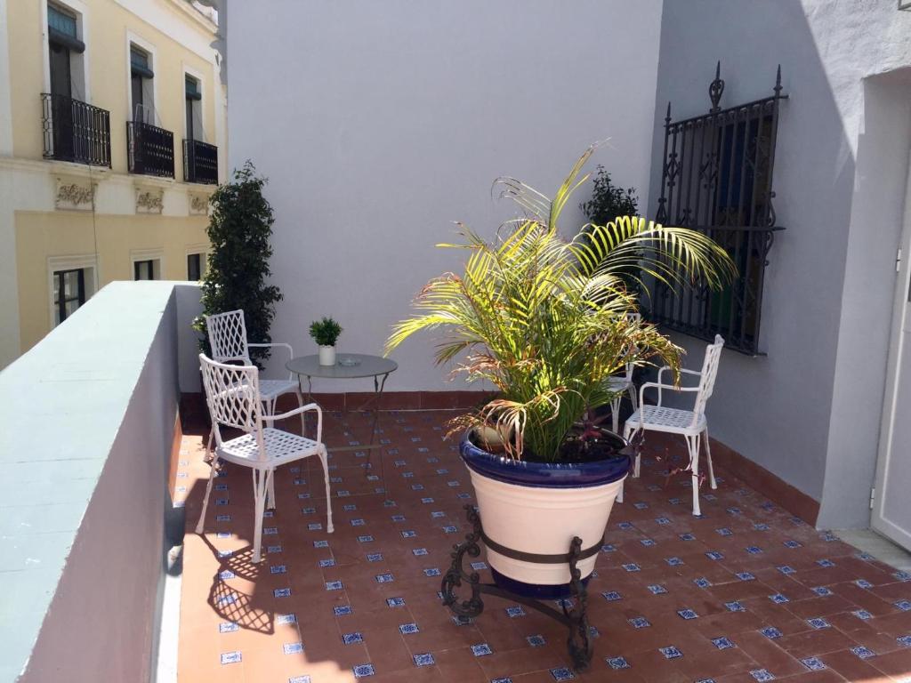 Basic Hotel Sevilla Catedral - Resim 39
