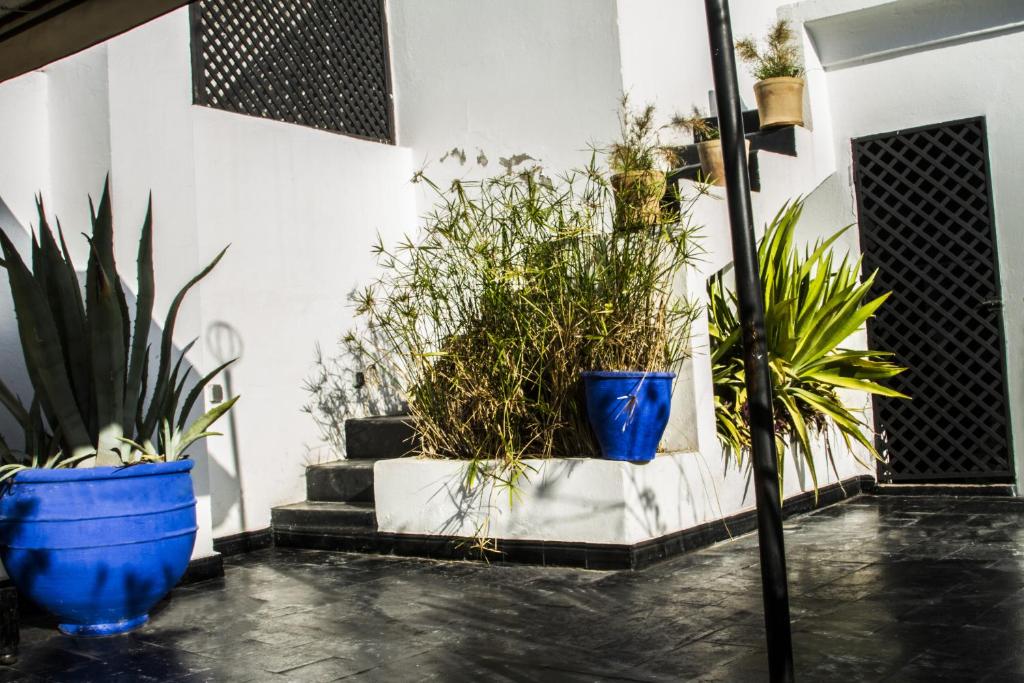Fotografie z fotogalerie ubytování Riad THALGE v Marrákéši