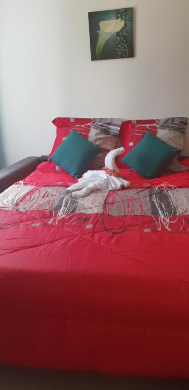 Cama roja con sábanas rojas y almohadas verdes en T1 tout confort 2, en Sainte-Clotilde
