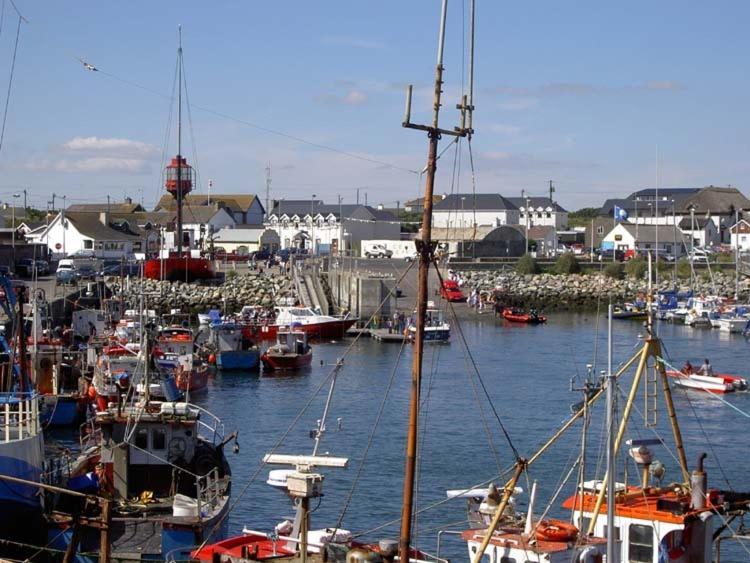 a bunch of boats are docked in a harbor at Glenhill B&B in Wexford