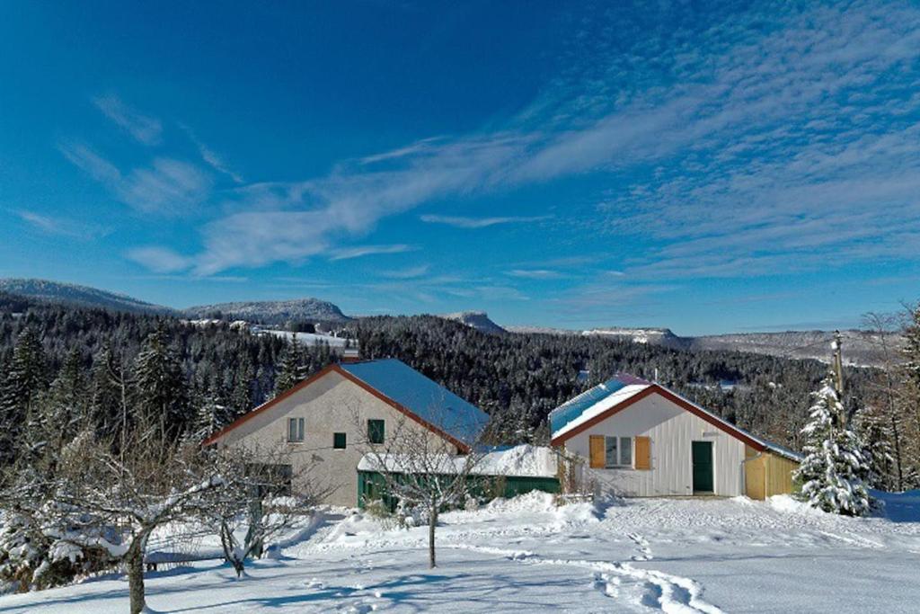a house in the snow with trees and mountains at Gîte du Bief de la Chaille in Les Rousses