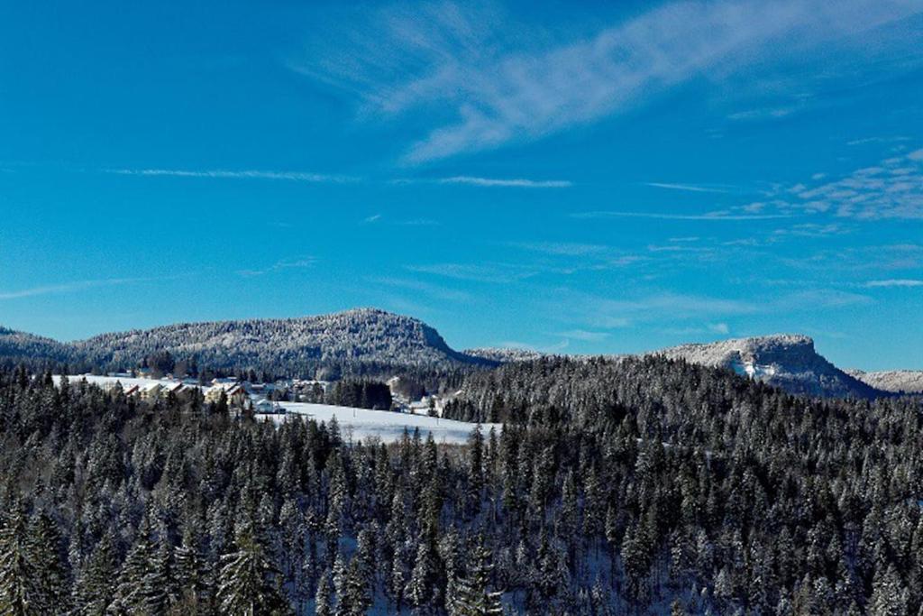 a view of a snow covered mountain with trees at Gîte du Bief de la Chaille in Les Rousses