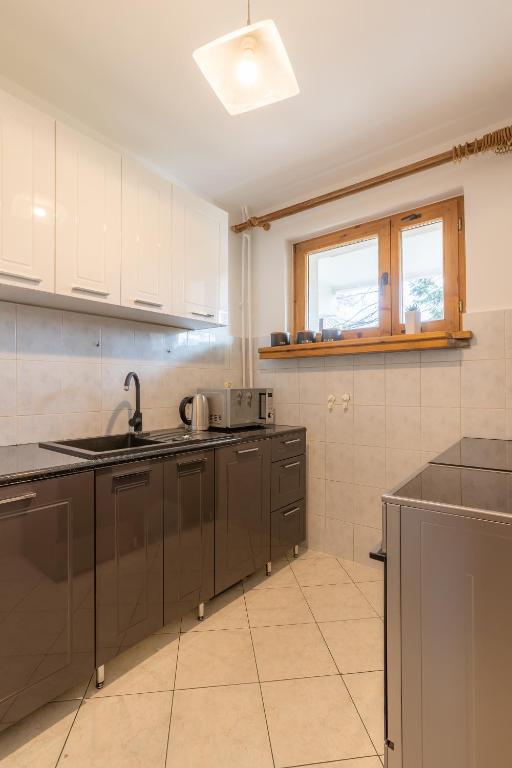 Kuchyňa alebo kuchynka v ubytovaní Apartament Lisowski CENTRUM