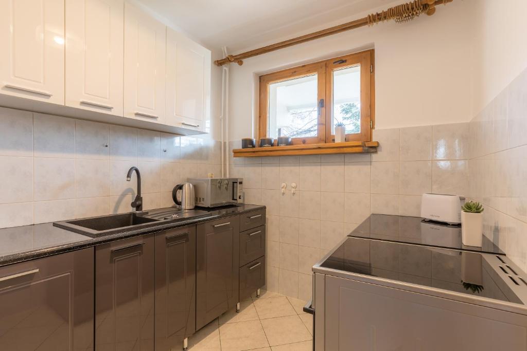 Kuchyňa alebo kuchynka v ubytovaní Apartament Lisowski CENTRUM