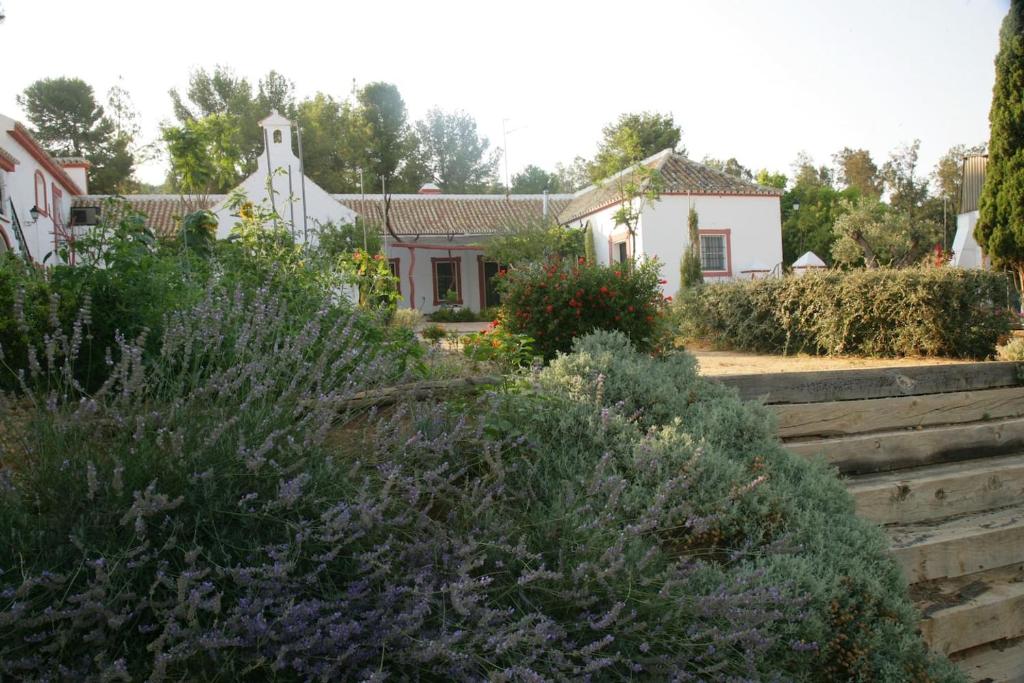A garden outside Cortijo El Triguero N-398 Ctra Carmona – El Viso del Alcor Km 18