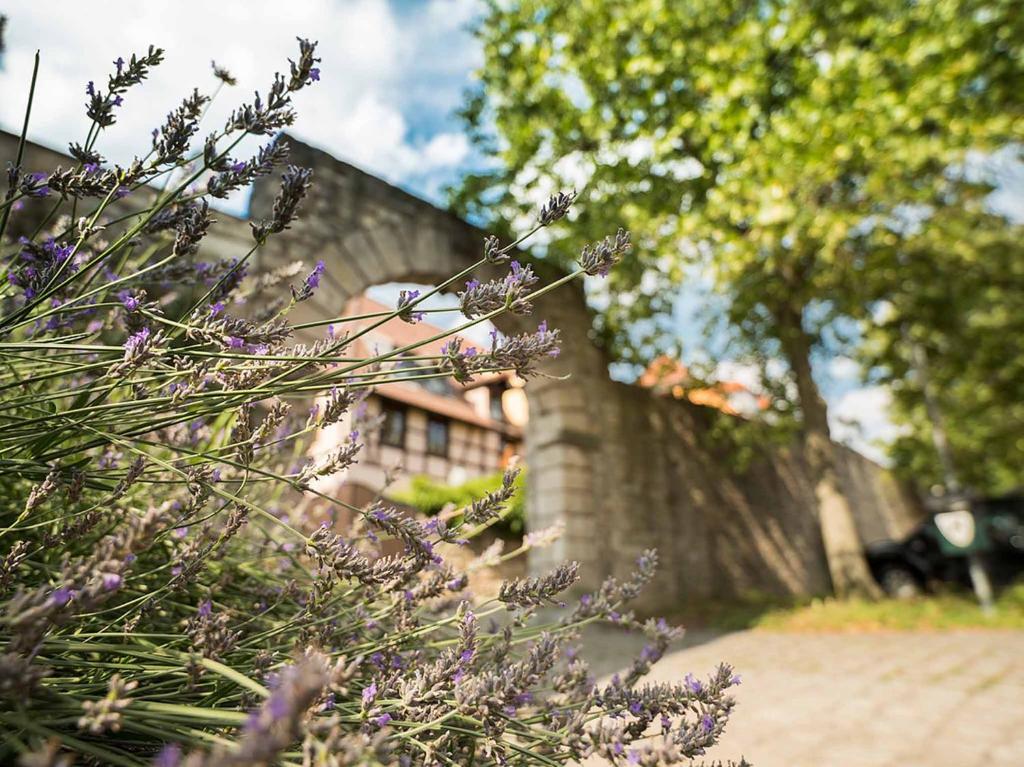 Zahrada ubytování Gästehaus Mönchshof