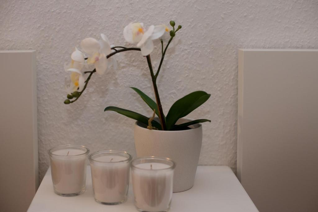 Apartment „Klein Venedig“ Erfurt - 12