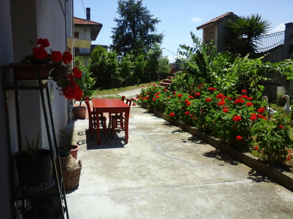 Zahrada ubytování B&B Tio Pepe