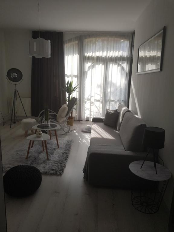 Downtown's pearl 7621 Pécs, Kazinczy utca kép - 1