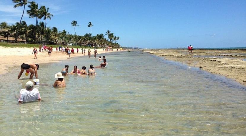 Beach Class Muro Alto Prime  Beach Class Muro Alto Prime