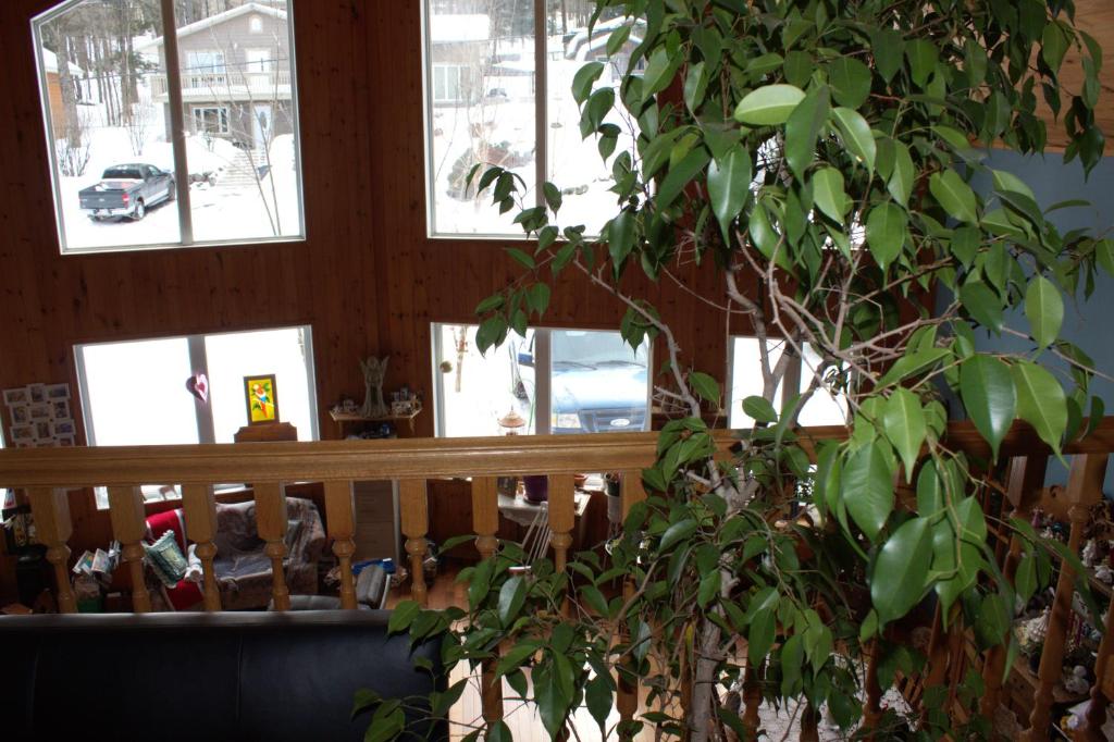 Restaurace v ubytování Le Gite A Margot