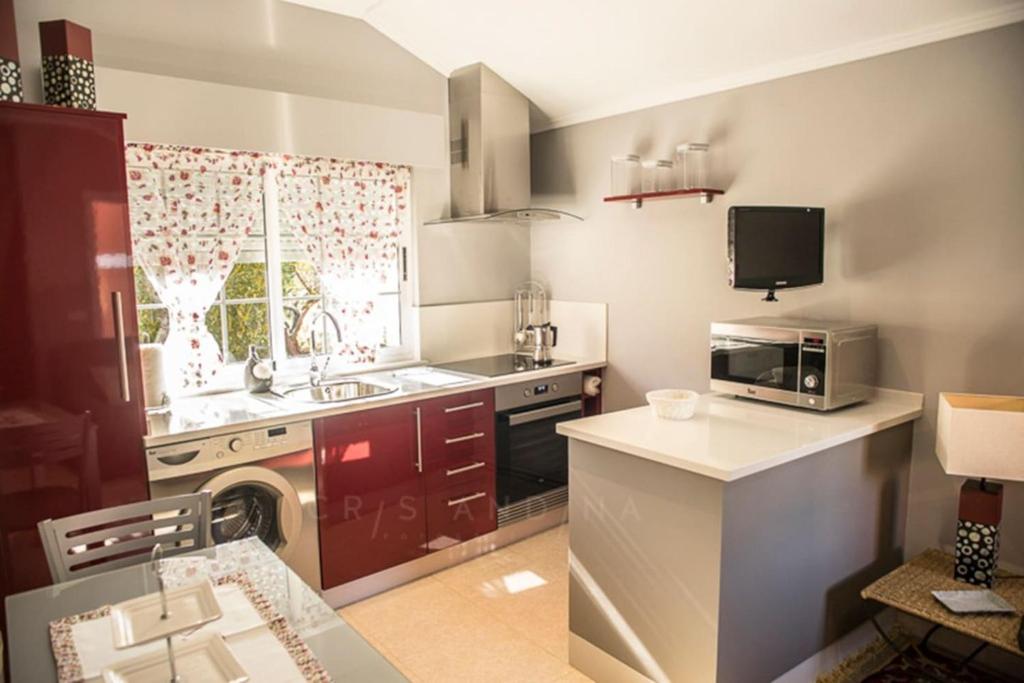 una pequeña cocina con fregadero y microondas en Apartamento Amieiro, en Ribadeo