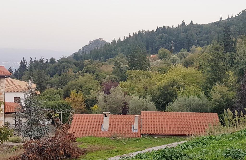 a group of houses with trees and mountains in the background at Luxury House In The Hills in Sparti