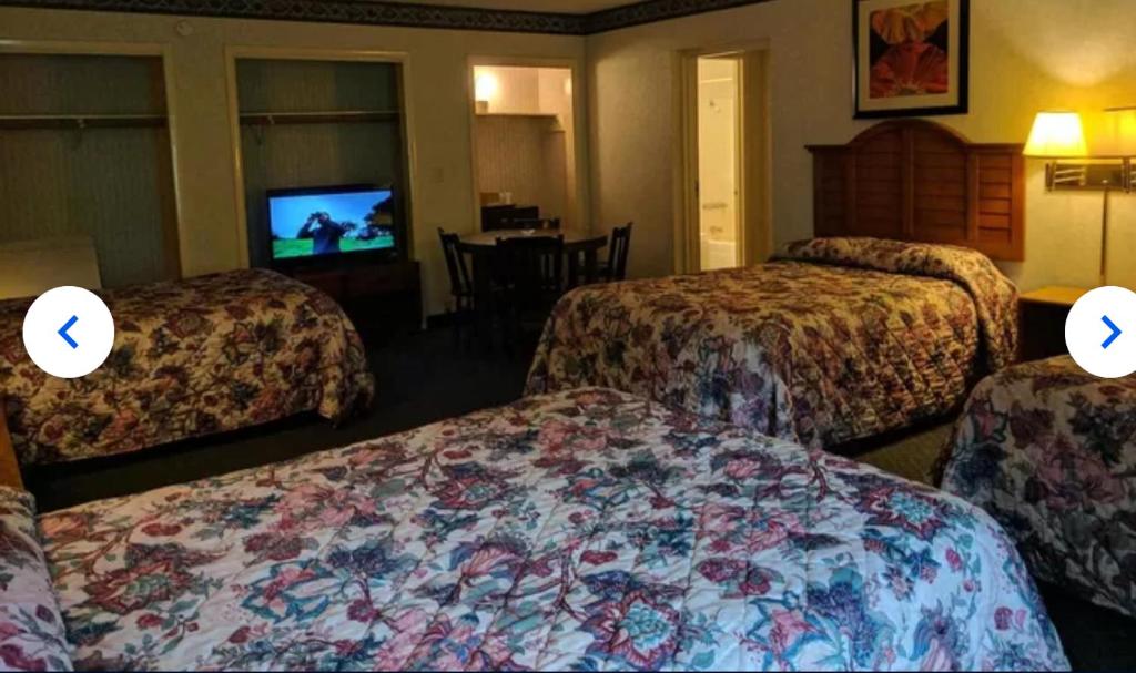 Budget Inn Top of Ellijay - 